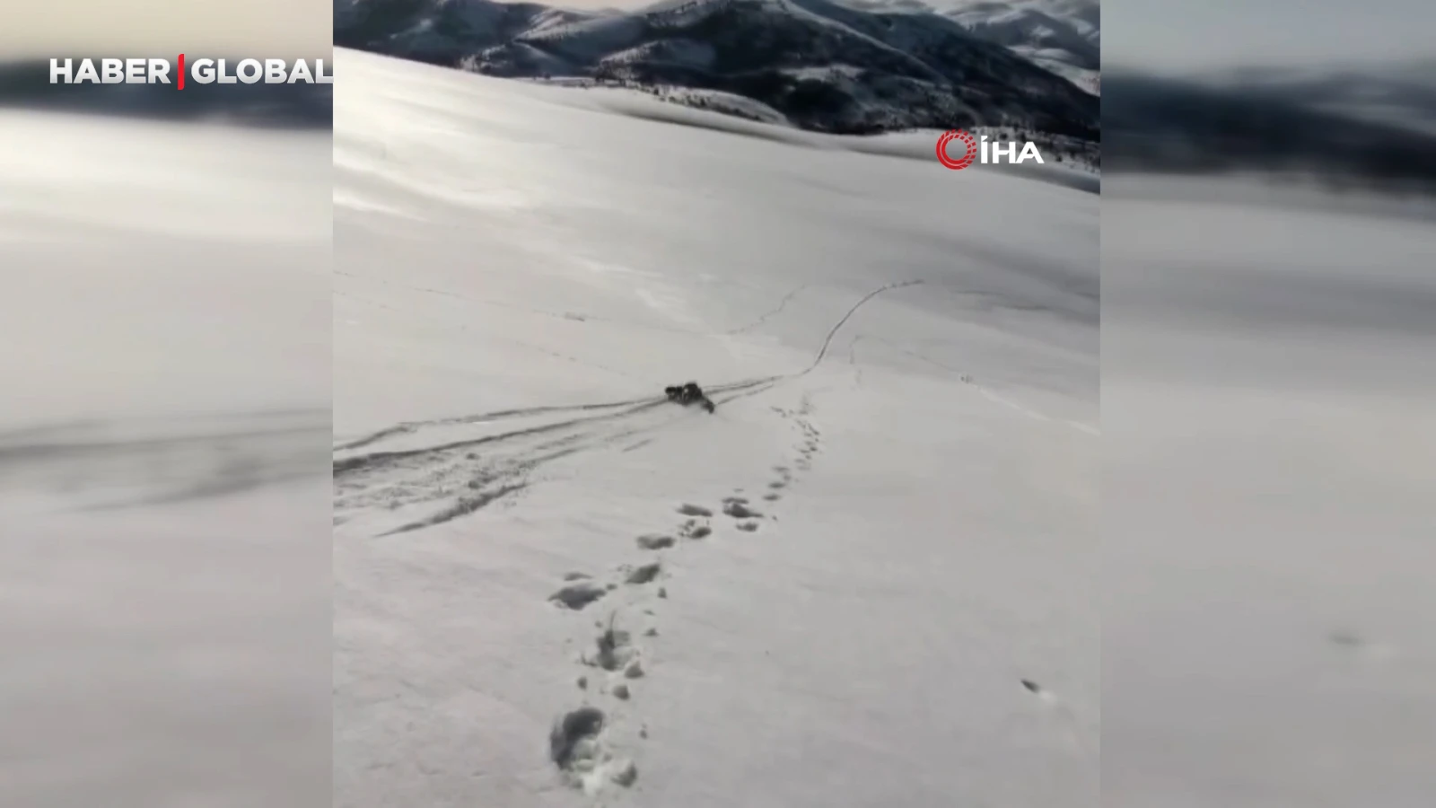 Nisan ayında çöp poşetiyle kaydılar, o anları kayda aldılar