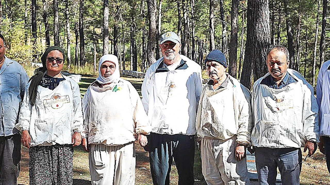 İhracatta rekabeti Türk Çam Balı ile yakalayacak