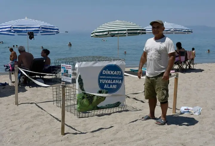 Kuşadası’nda yılın ilk caretta caretta yuvası tespit edildi