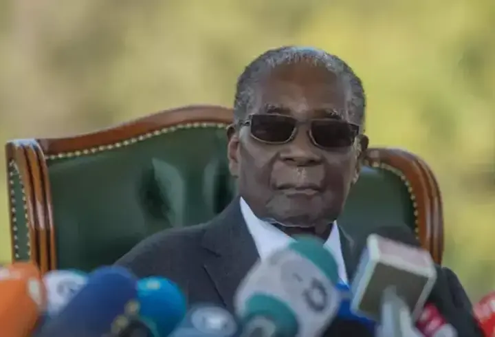 Eski Zimbabve lideri Mugabe'nin oğluna cinayete teşebbüsten gözaltı