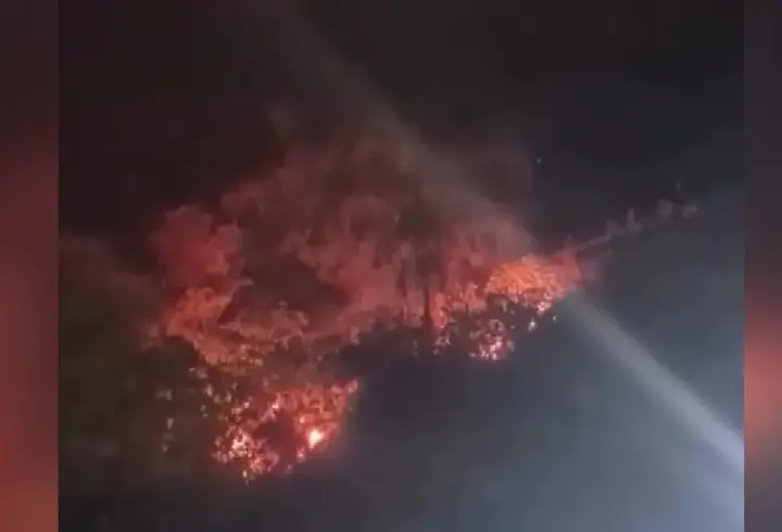 Attıkları havai fişek yangın çıkardı; 4 gözaltı