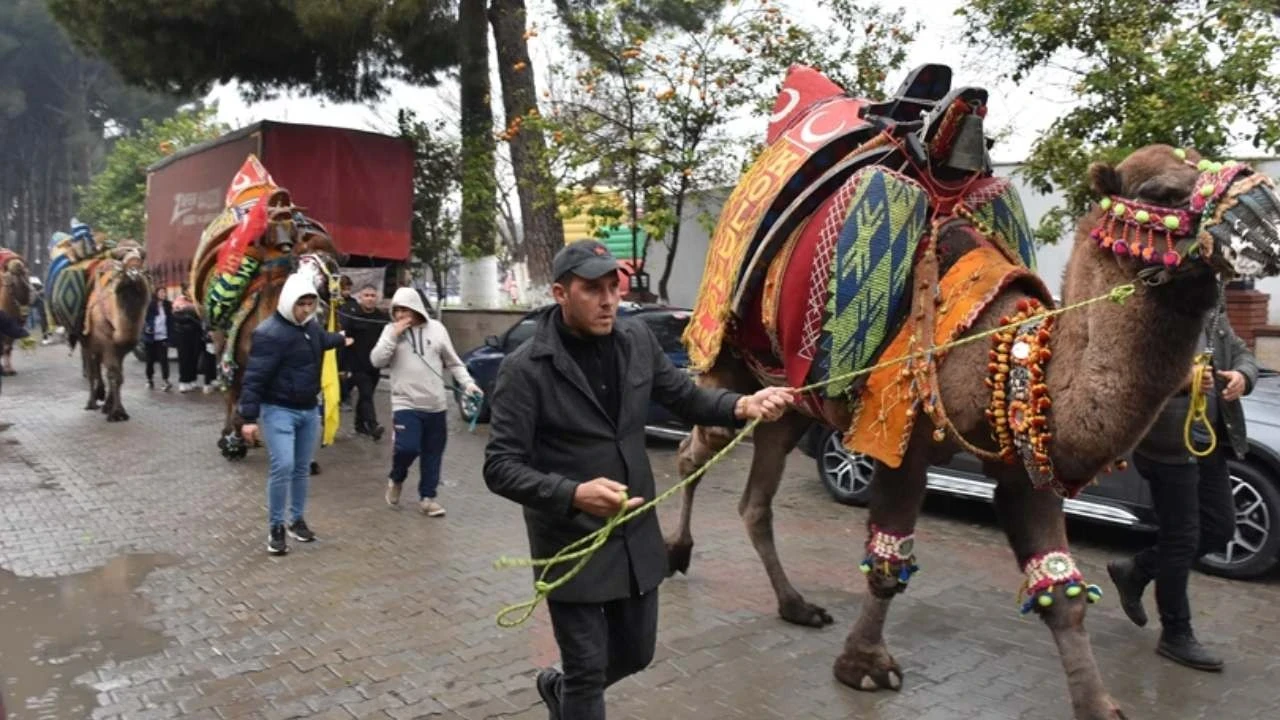 Ege’nin minik şehrinde 'deve' sürprizi! Birinci sıraya yükseldi