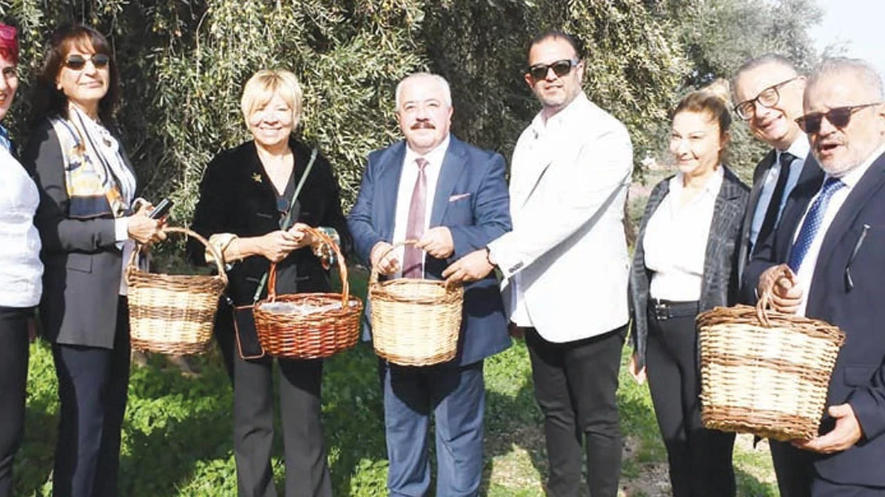 Işınsu Kestelli : Zeytindeki daralma Türkiye için avantaja dönüşebilir
