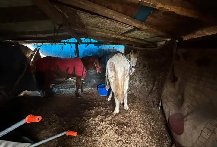 At kestikleri öne sürülen 2 şüpheli, operasyonla yakalandı