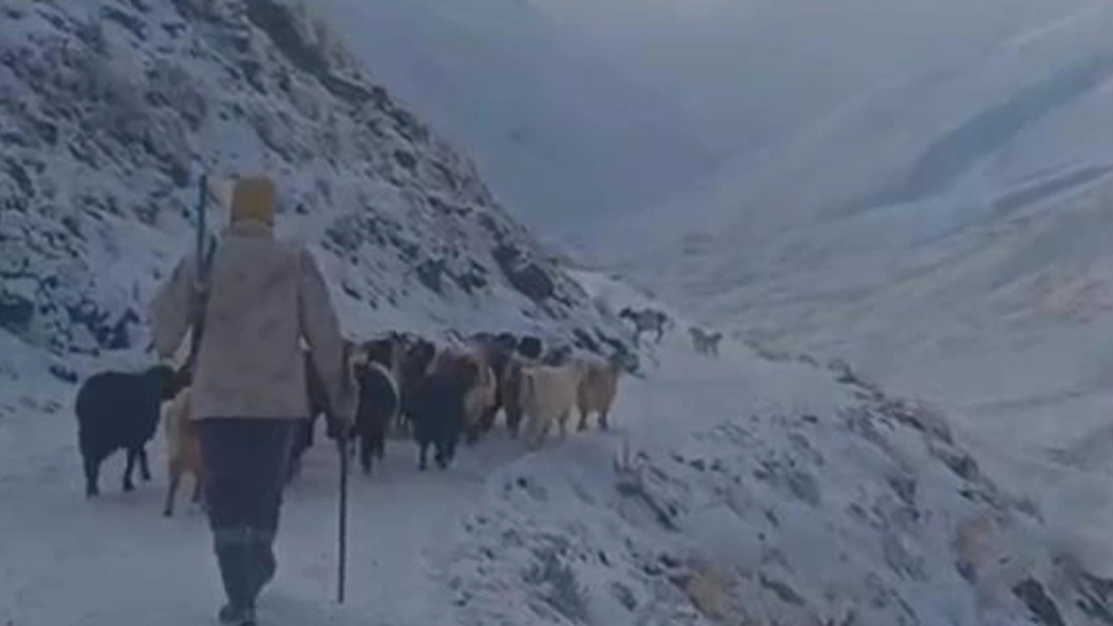 Eleşkirt'te hayat durdu; kar ve tipiye yakalandılar