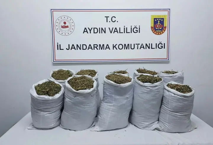 Aydın'da uyuşturucu operasyonu; 2 gözaltı