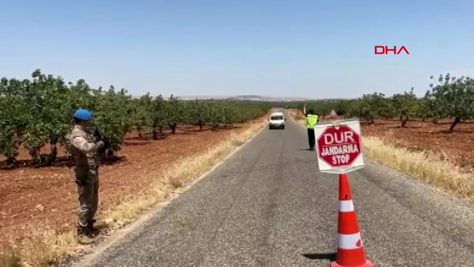 'Yeşil altın'a jandarma koruması böyle görüntülendi