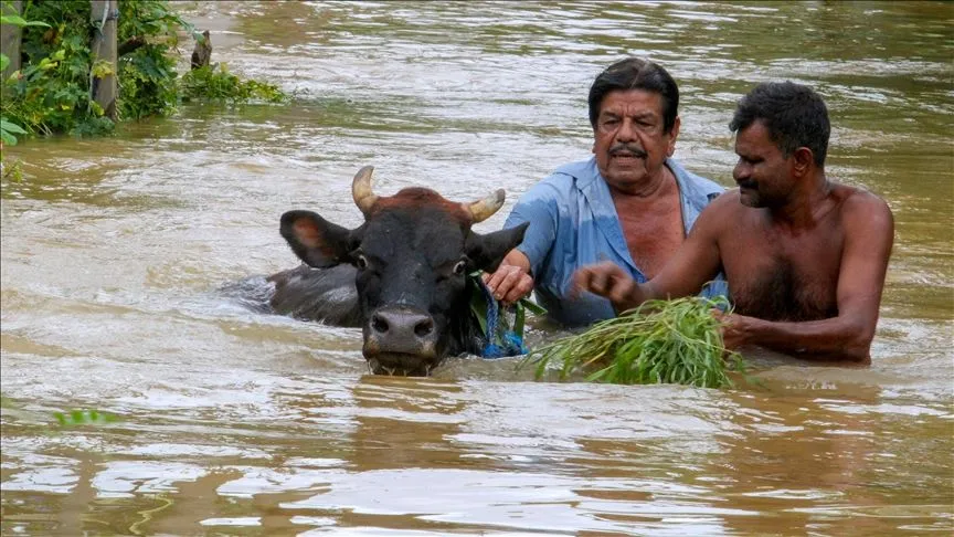Sri Lanka'da şiddetli yağışların neden olduğu afetlerde 47 kişi öldü