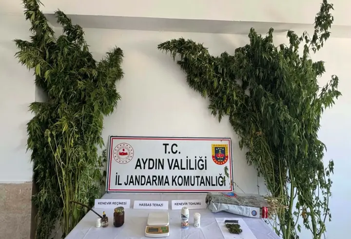 Evinde Hint keneviri ve esrarla yakalanıp gözaltına alındı