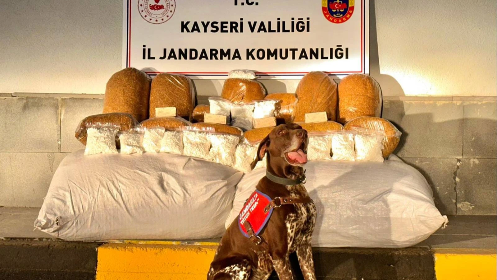 Kayseri'de 450 kiloluk kaçak tütün ele geçirildi