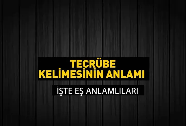 Tecrübe Eş Anlamlısı Nedir? Tecrübe Kelimesinin Eş Anlamlıları Nelerdir?