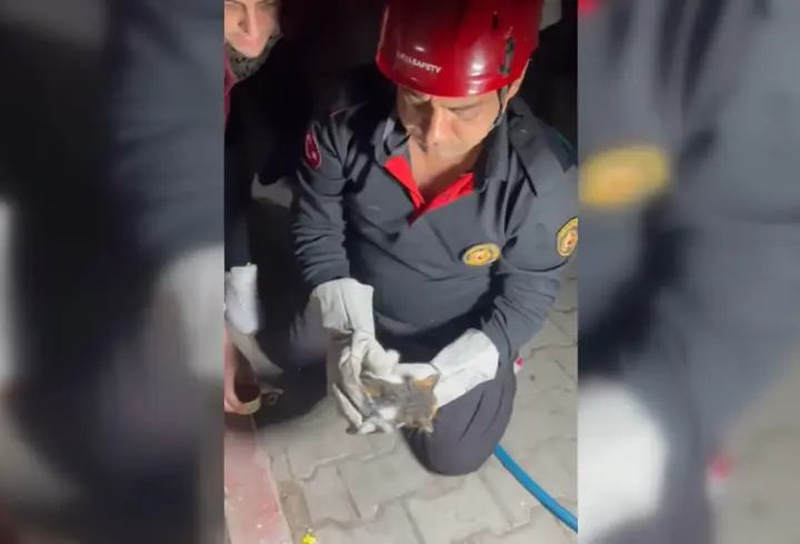 Osmaniye’de mazgala düşen yavru kedi itfaiye ekiplerince kurtarıldı