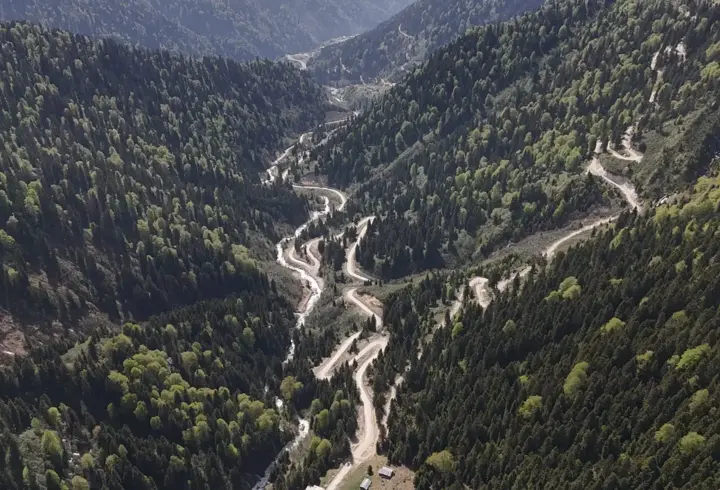 Karadeniz'de yağış değişimi alarmı; orman varlığı gençleştiriliyor