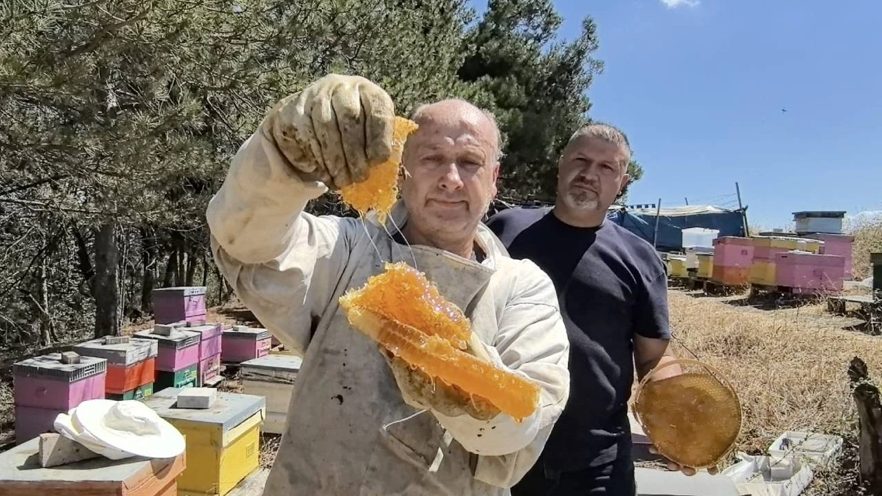 Bursa'da üretilen bu bal her derde deva
