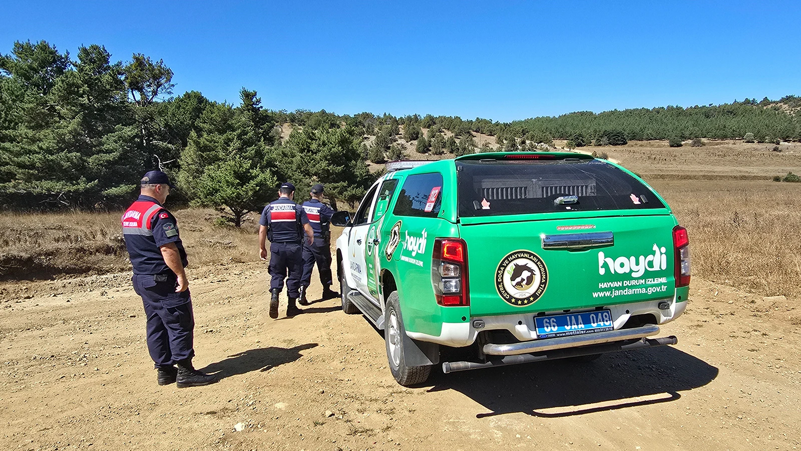 Yozgat'ta kaçak salep için jandarma sahada: Cezası 557 bin TL