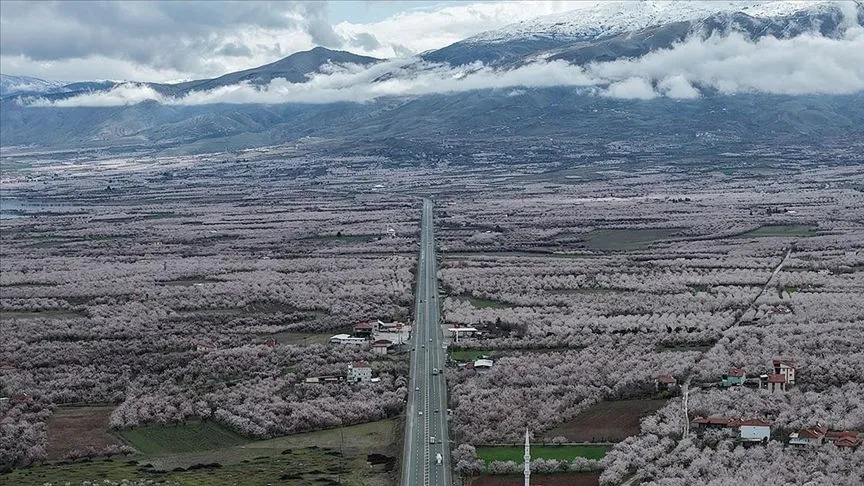 "Dünya kayısı başkenti" Malatya beyaz gelinliğini giydi