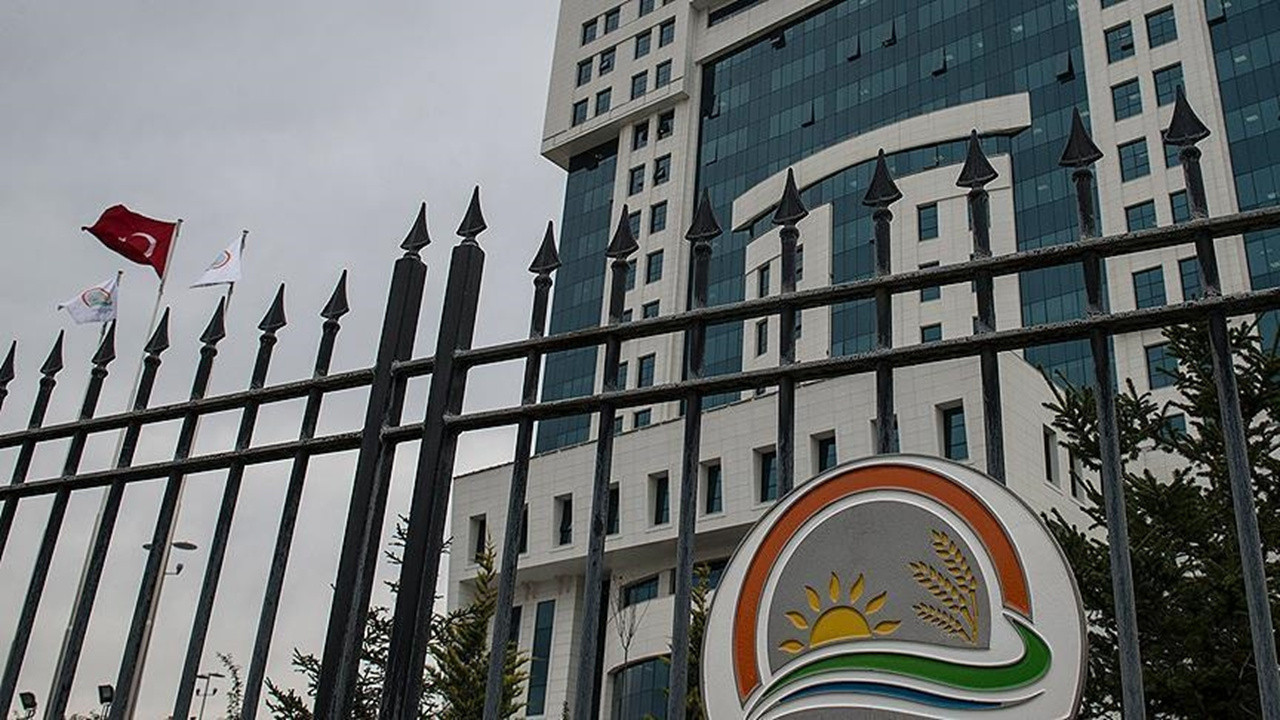 Tarım Bakanlığı'ndan 'gerekçesiz tavuk itlafına' yönelik açıklama