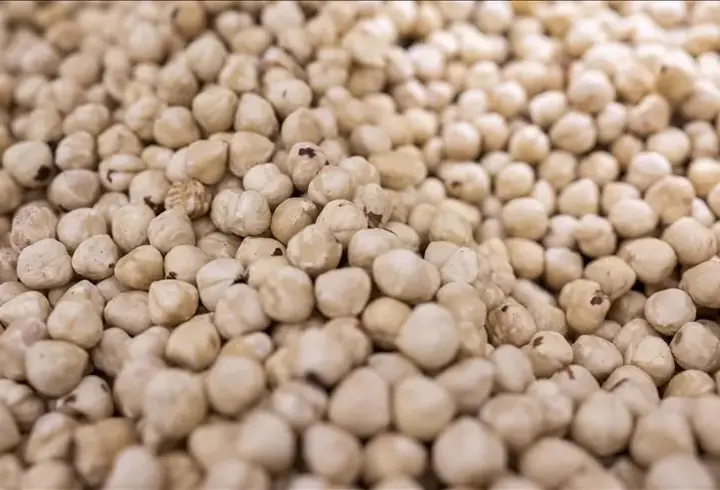Doğu Karadeniz ihracatta yıla güçlü başladı