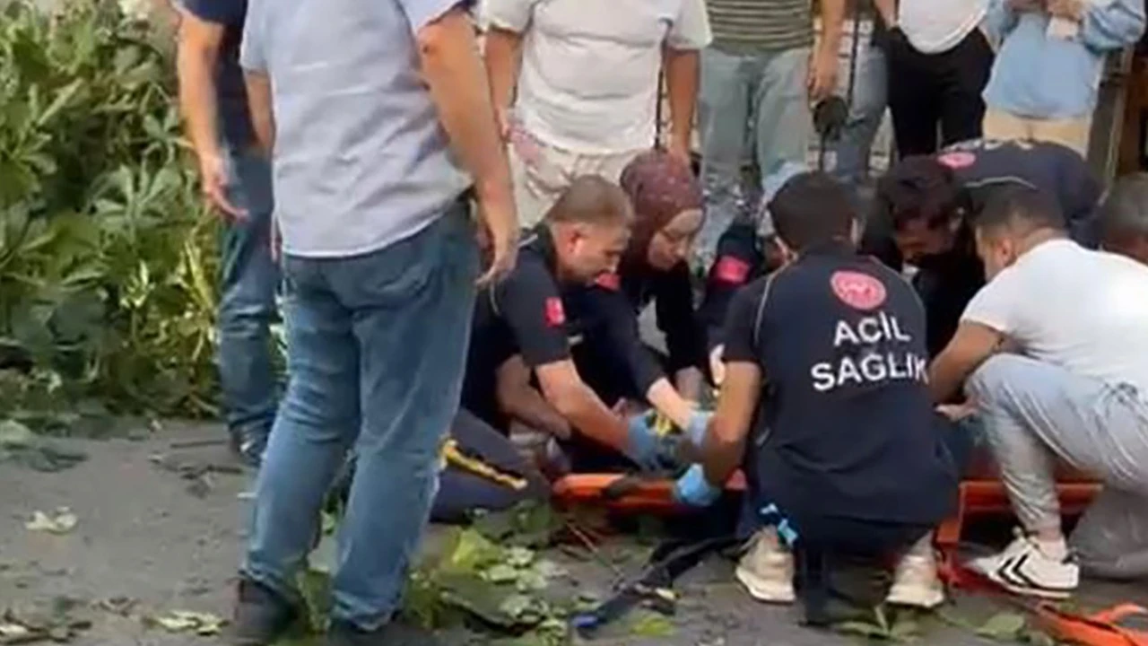 Oyuncu İbrahim Yıldız'ın üzerine ağaç devrildi: Yaşam mücadelesi veriyor