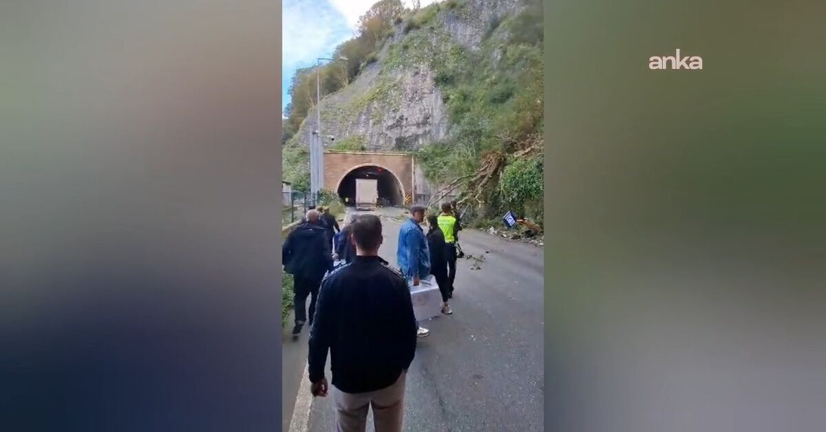 Ağaçlar Araçların Üzerine Devrildi - Yeni Haberler - Habertürk