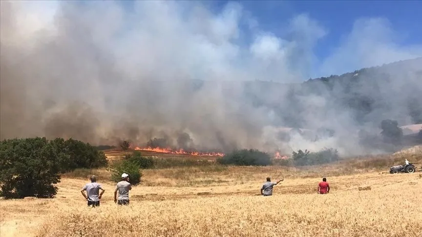 Bursa'nın Yenişehir ilçesinde çıkan orman yangını kontrol altına alındı