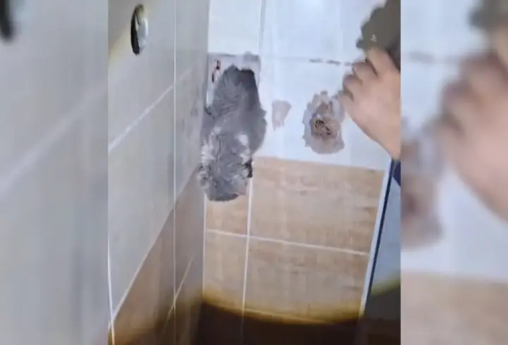 Malatya'da havalandırma boşluğuna düşen kediyi itfaiye kurtardı