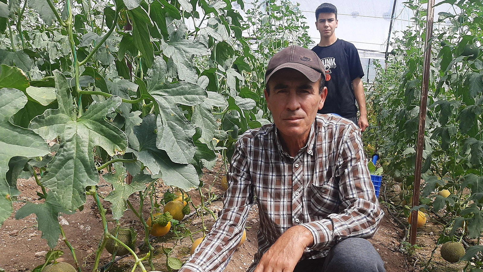 'Bu mevsimde olmaz' diyenlere aldırmadı, kışın serada yetiştirdi