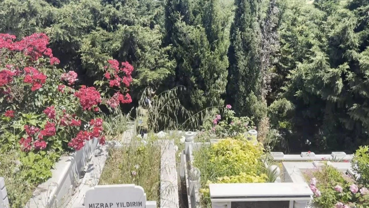 İstanbul'da dehşet! Arnavutköy'de mezarlıkta bebek cesedi bulundu