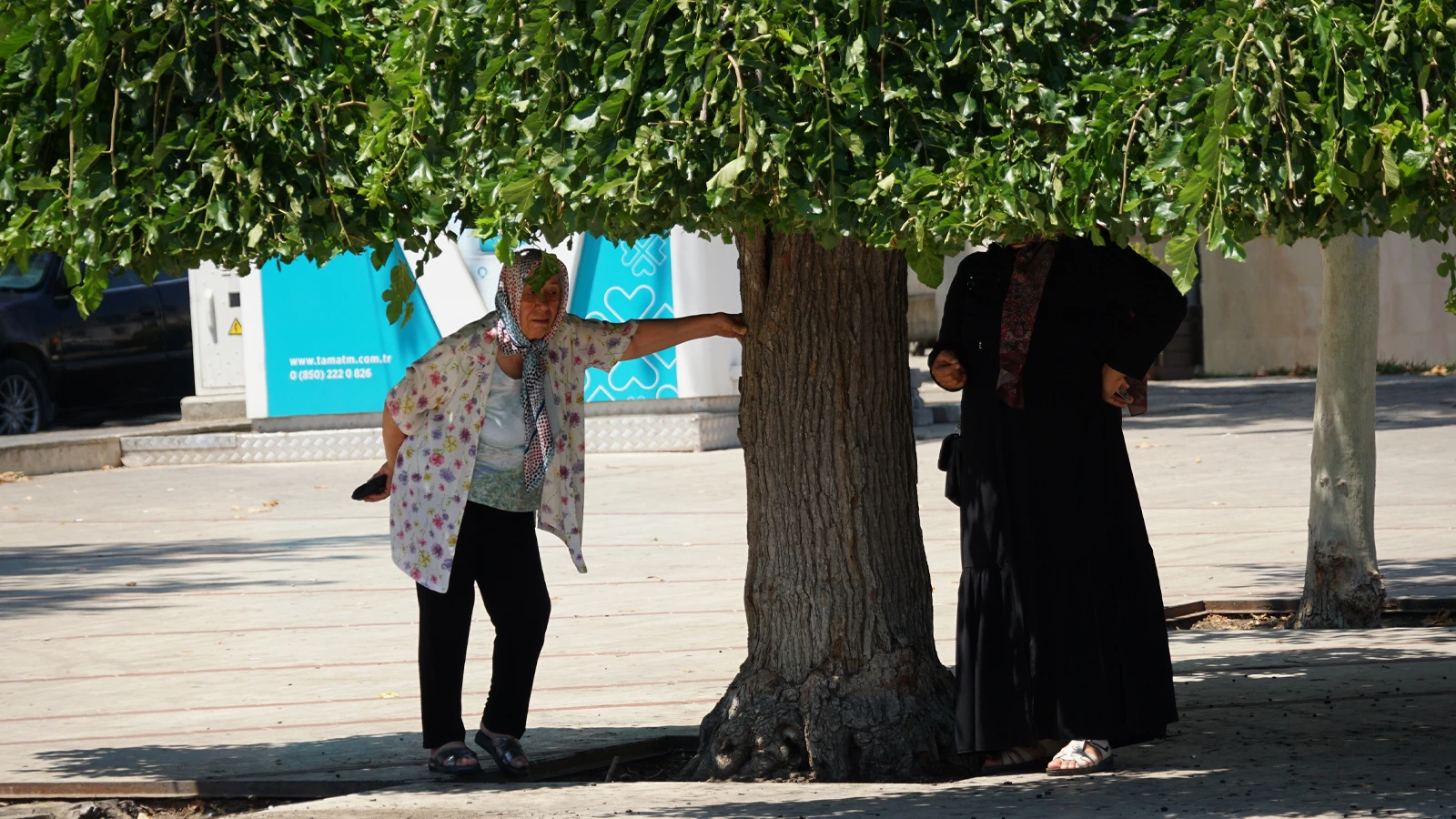 Sıcaklık daha da artıyor: 21 ilde gölge bile kavuracak!