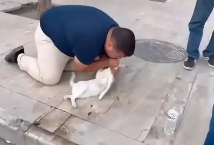Kediyi, suni teneffüs ve kalp mesajı ile kurtarmaya çalıştı