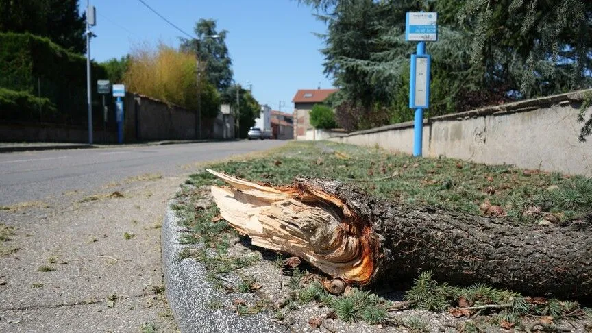 Fransa'nın güneyinde fırtına hayatı olumsuz etkiledi