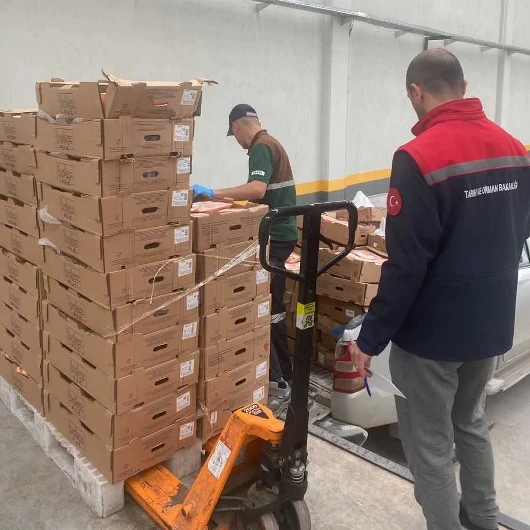 Konya'da 7 Ton Bozuk Tavuk Eti Ele Geçirildi