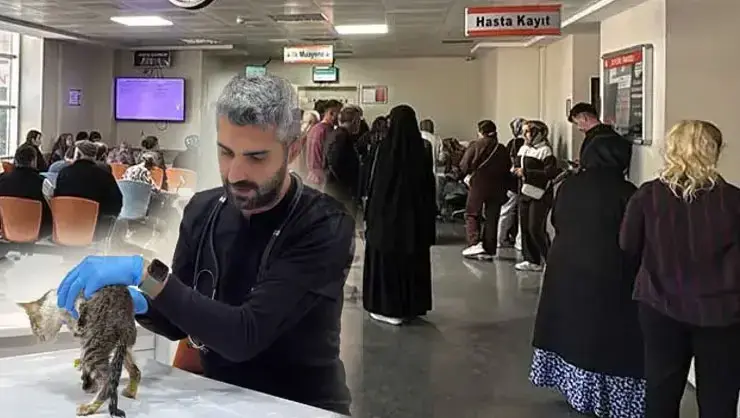 Tokat’ta 5 Bin Kişiyi Hastanelik Eden Salgında Evcil Hayvan Detayı!