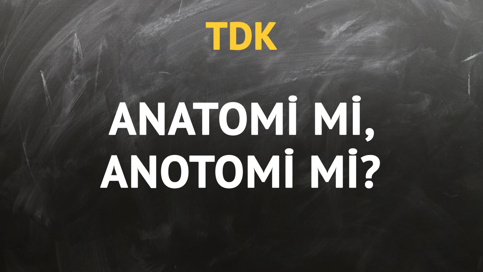 TDK'ya göre anatomi kelimesi nasıl yazılır?
