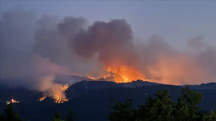 Sakarya, Bilecik ve Eskişehir'de orman yangınlarına müdahale sürüyor