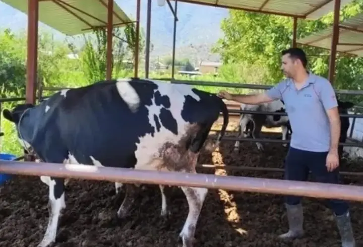 Muğla'nın Milas ilçesinde 11 mahalle karantinaya alındı