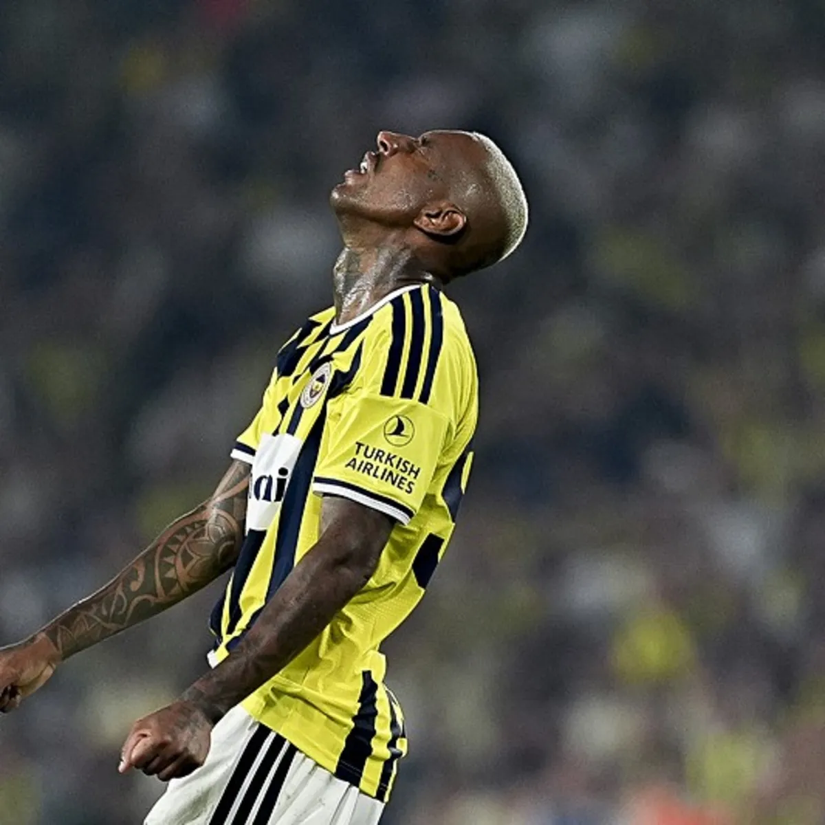 Fenerbahçe Samsunspor kamp kadrosunu açıkladı! Anderson Talisca...