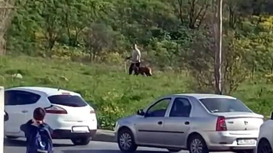 Avcılar'da köpeğe şiddet. Çevredekilerin tepkilerine aldırış etmedi