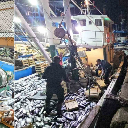 Karadeniz'de palamut bereketi: Sadece üç saatte bin 500 kasa avladılar