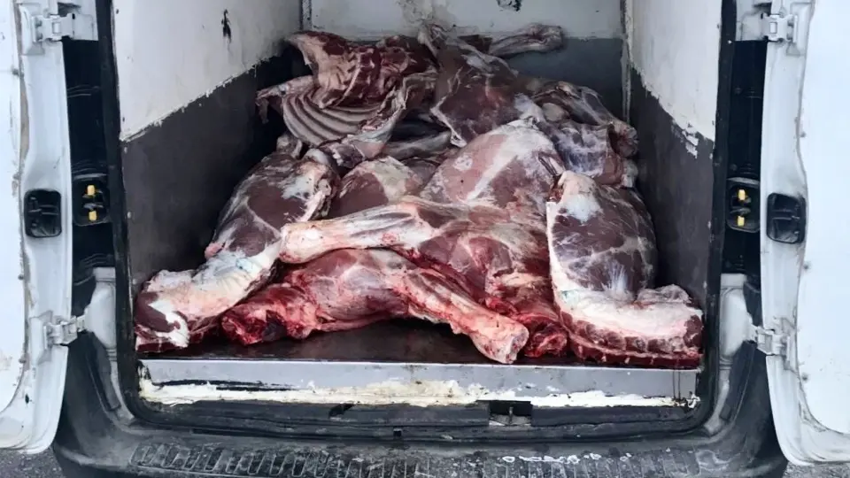 6 ton kaçak ve bozulmuş hayvansal ürün ele geçirildi