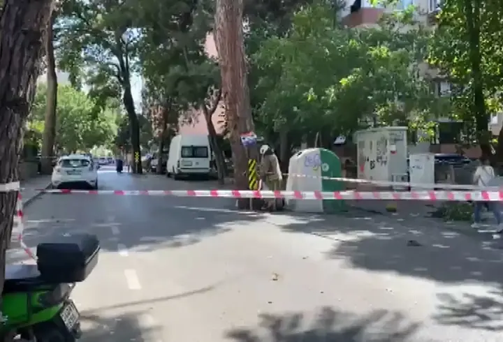 İstanbul - Kadıköy’de tehlike oluşturan ağaç dalı itfaiye tarafından alındı