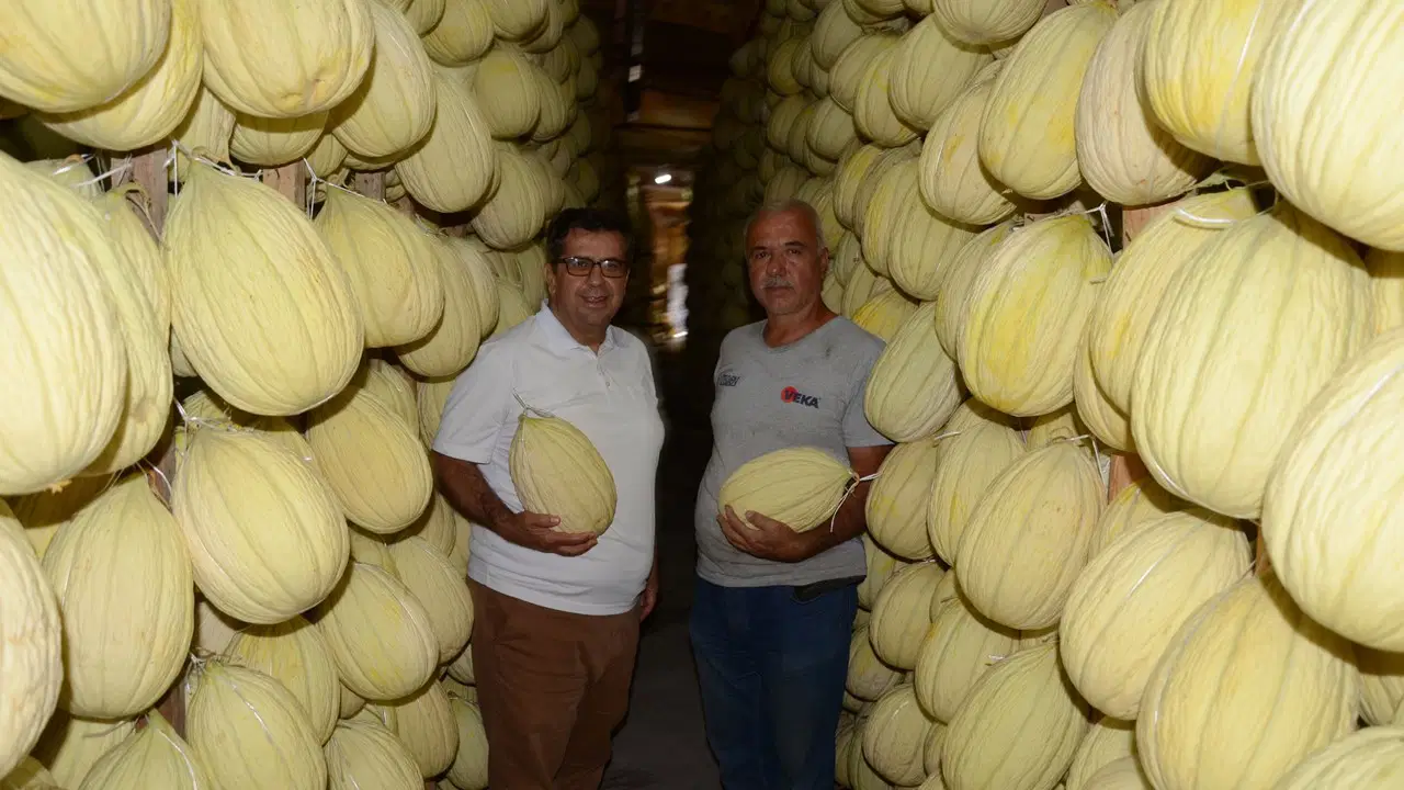 30 Bin Ton Fışkırdı, Depoya Girmeden Hepsi Satıldı! Koca Bir İlçeyi İhya Etti...