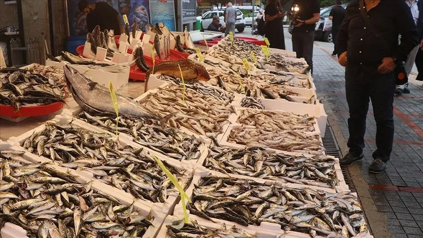 Rize'de balıkçı tezgahlarında bolluk yaşanıyor