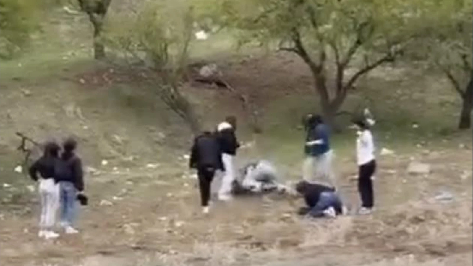 Elazığ'da iki grup genç kız tekme tokat birbirine girdi