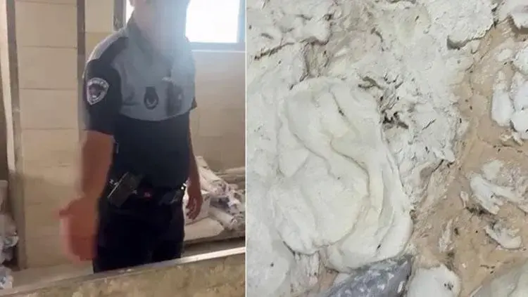 Hatay’da Fırına Zabıta Denetimi! Karşılaşılan Manzara Pes Dedirtti
