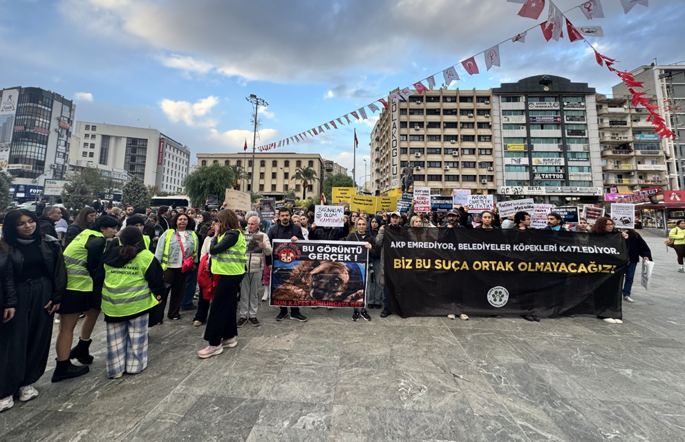 Ege Üniversitesi’nde 160 Köpeğin Toplatılmasına Tepki