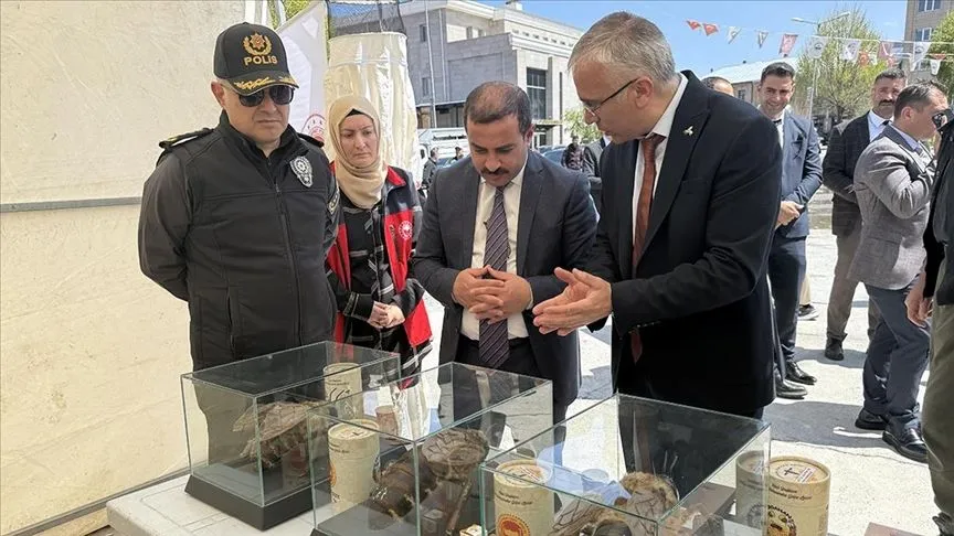 Ardahan'da "Dünya Arı Günü" etkinliği düzenlendi