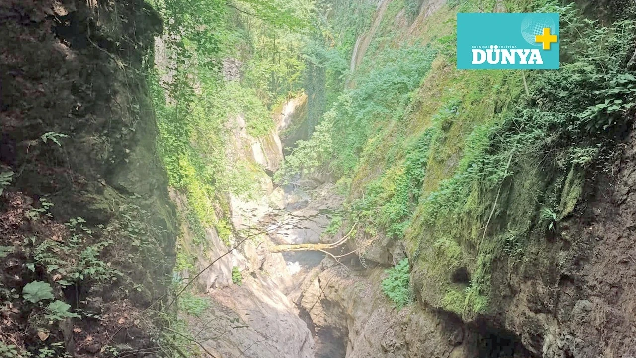 Bir yüzü deniz bir yüzü orman: Düzce