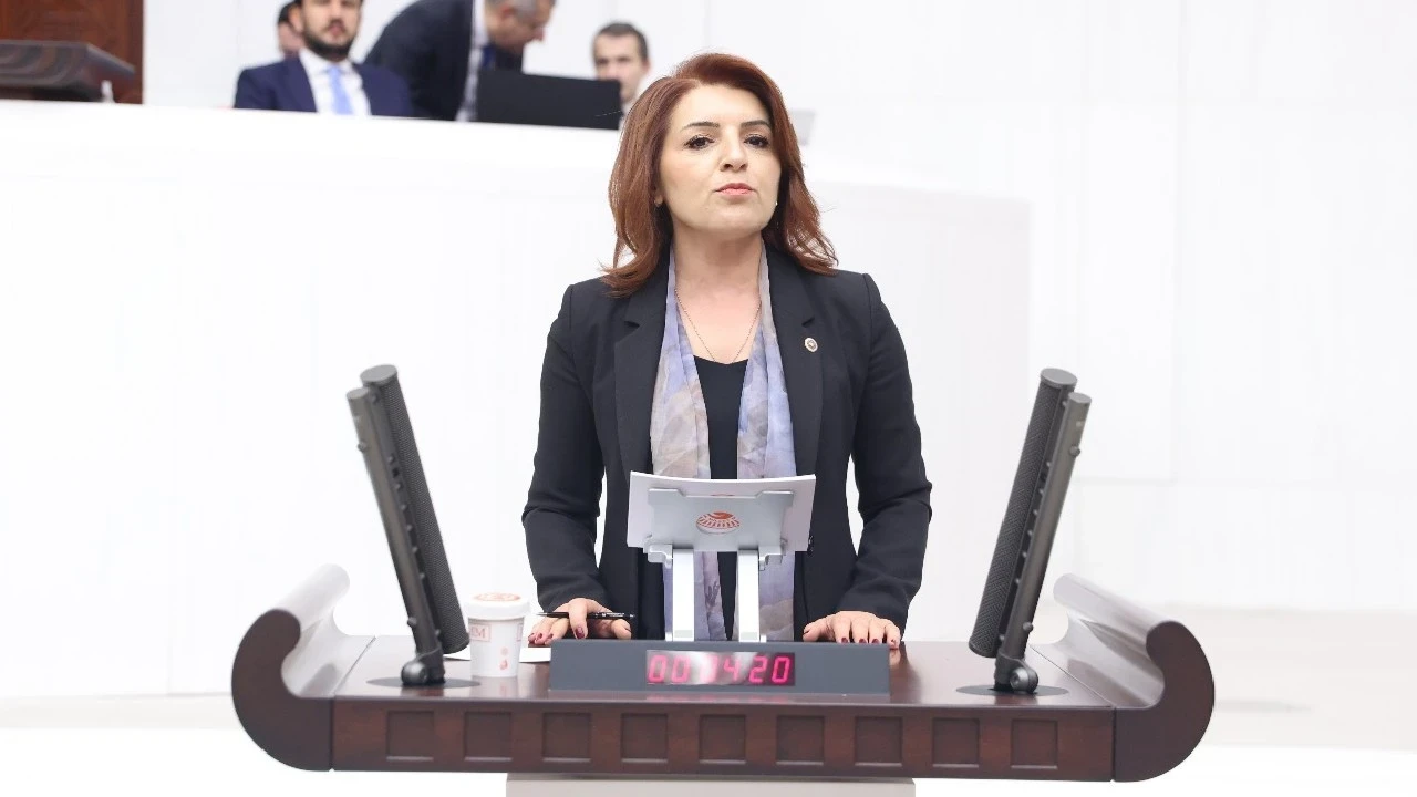 CHP'li Kış'tan elektrik ve Akkuyu eleştirisi