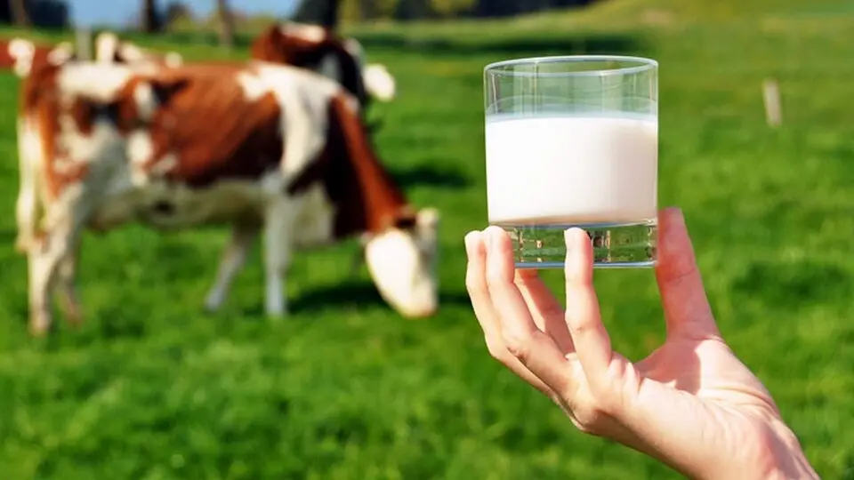 TÜSEDAD Ekim ayı çiğ süt üretim maliyetini açıkladı